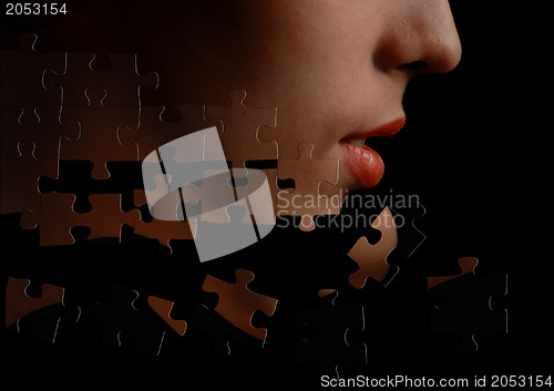 Image of Puzzle-face