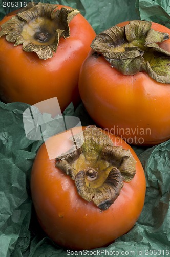 Image of persimmon