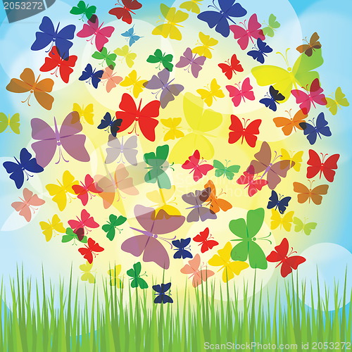 Image of Colorful background with butterfly, beautiful decorative background. EPS10