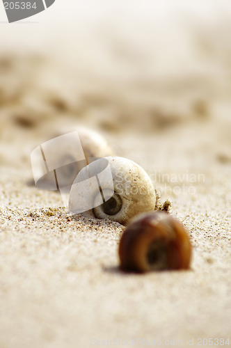 Image of beach scenary