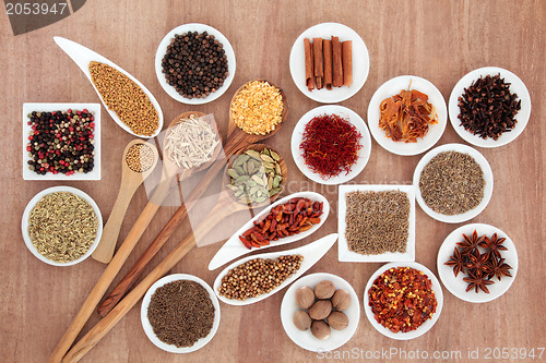 Image of Spice and Herb Selection