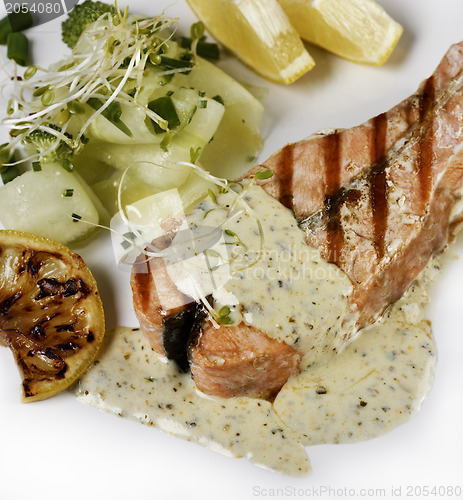 Image of Grilled Salmon Fillet