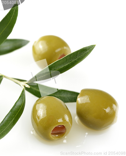 Image of Green Olives