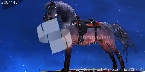 Image of Kiger Silver Horse