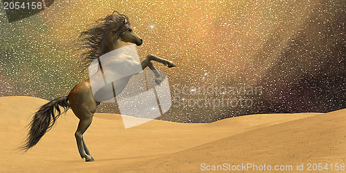 Image of Wilderness Horse