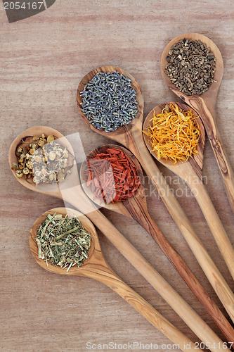 Image of Herbs for Health