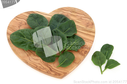 Image of Spinach Leaves