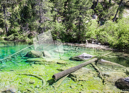 Image of Green Lake
