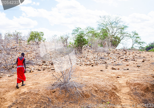 Image of Masai in savanna
