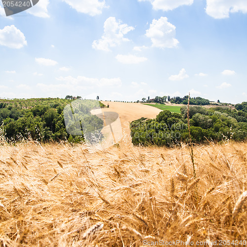 Image of Country in Tuscany