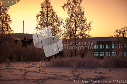 Image of Polar Night