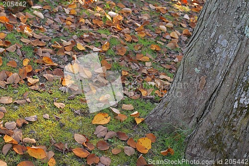 Image of Autumn park abstract