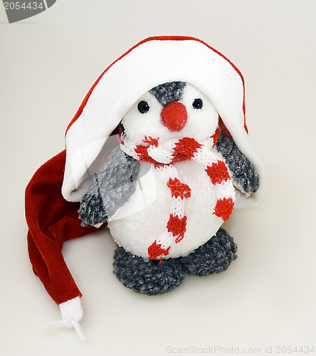 Image of Penguin in winter cap