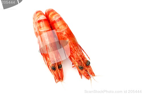 Image of Shrimp pair 2