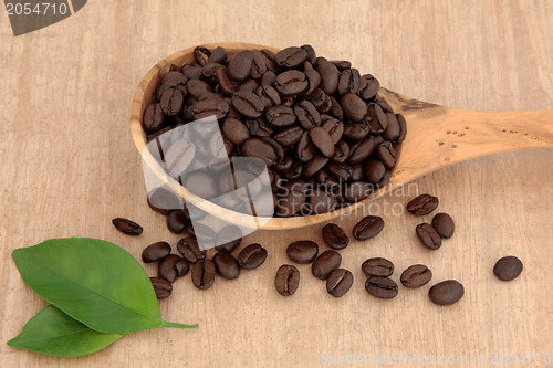 Image of Coffee Beans 