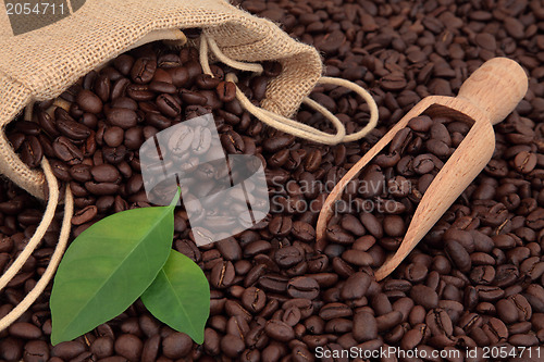 Image of Coffee Beans