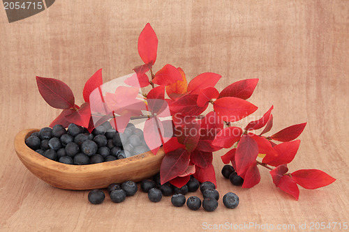 Image of Blueberry Fruit