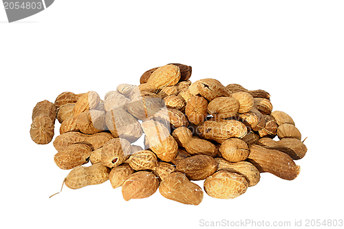 Image of peanuts on white