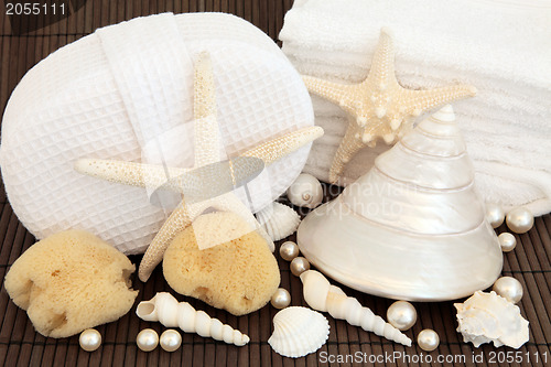 Image of Sea Shell Spa