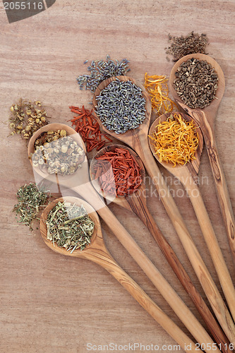 Image of Healing Herbs