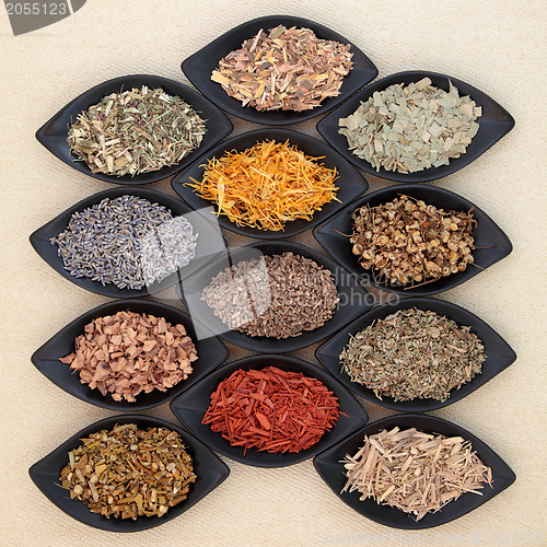 Image of Magical and Mediicinal Herbs  