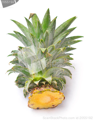 Image of pineapple