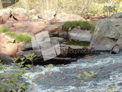 Image of Swedish Nature