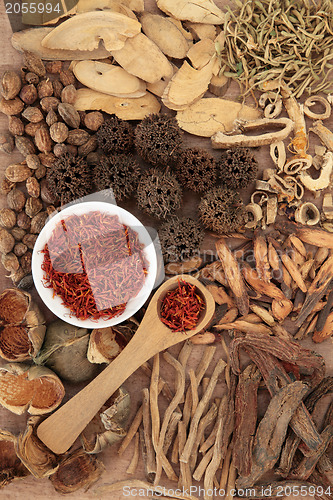 Image of Traditional Chinese Medicine