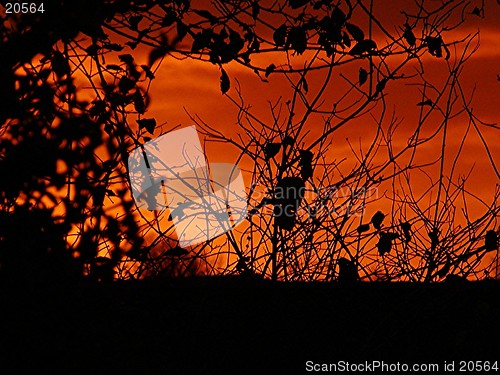 Image of Sunset