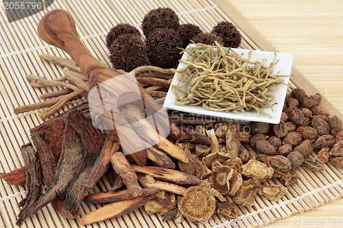 Image of Chinese Herbal Mediicne