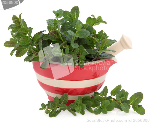 Image of Peppermint Herb
