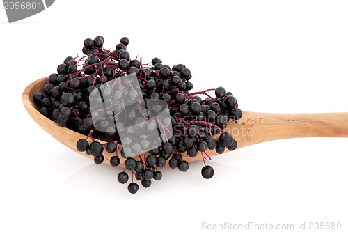 Image of Elderberry Fruit