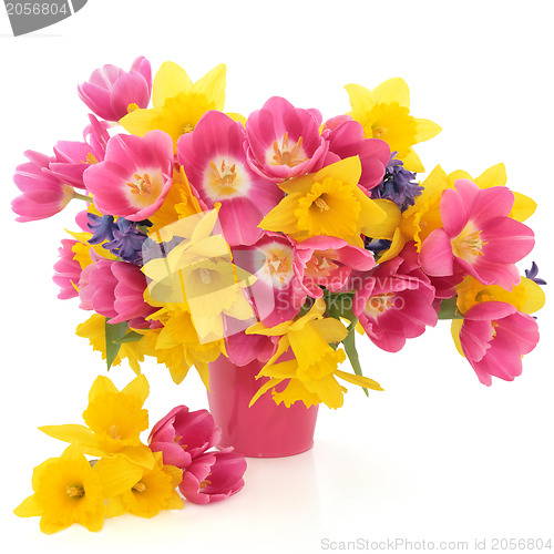 Image of Spring Flower Beauty