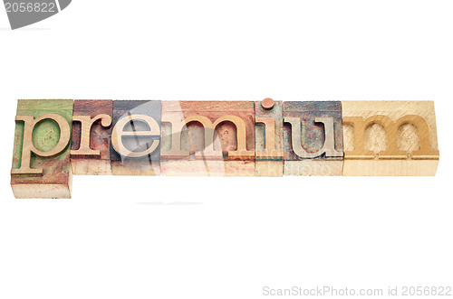 Image of premium word in wood type