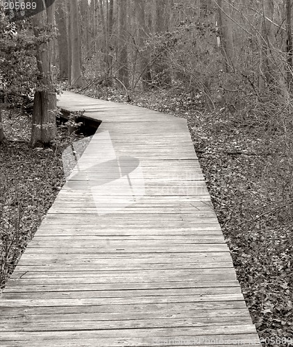 Image of Boardwalk