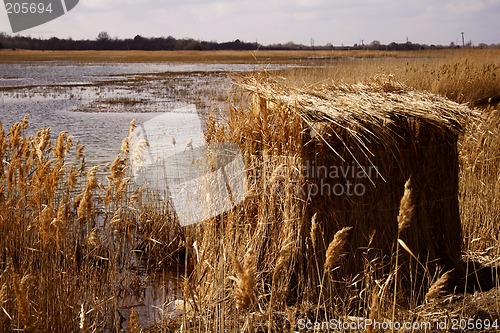 Image of Duck Blind