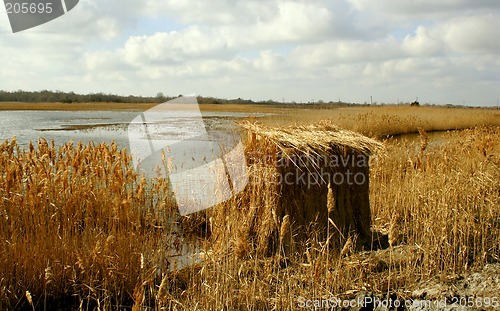 Image of Duck Blind