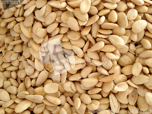 Image of almonds 