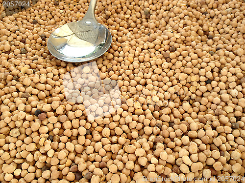 Image of chickpea