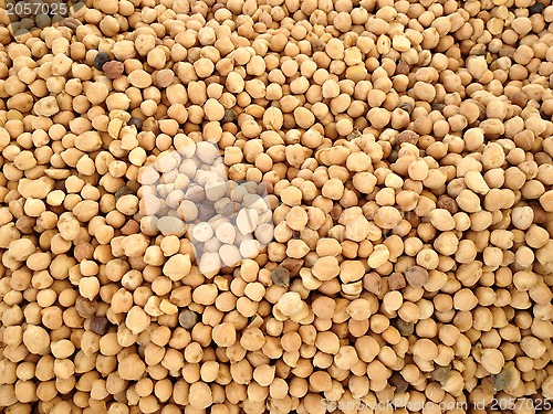 Image of chickpea 
