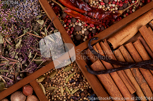 Image of Cinnamon Sticks, Vanilla Pods and Spices