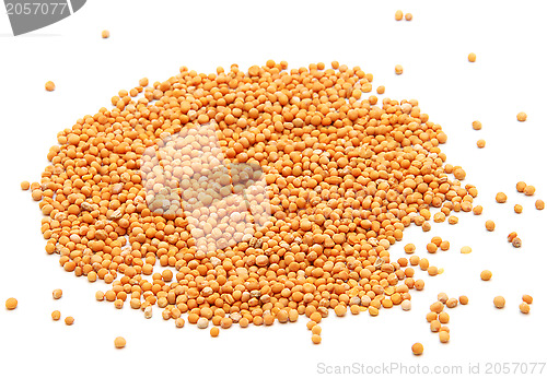 Image of Whole mustard seeds