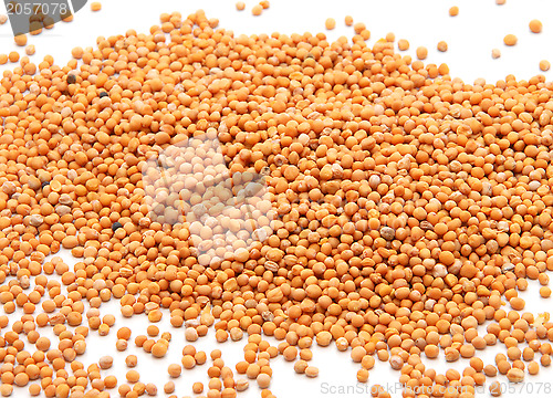 Image of Expanse of whole mustard seeds