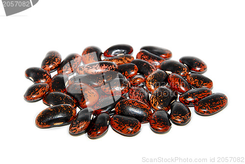 Image of Pile of runner bean seeds