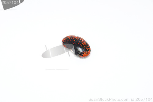 Image of Single runner bean seed