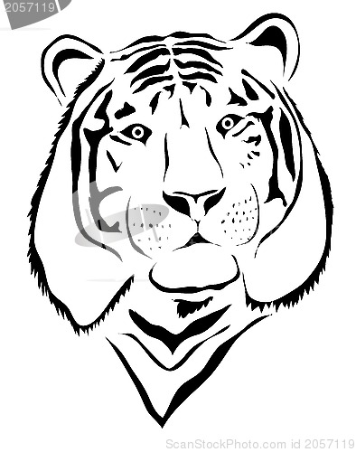 Image of White tiger