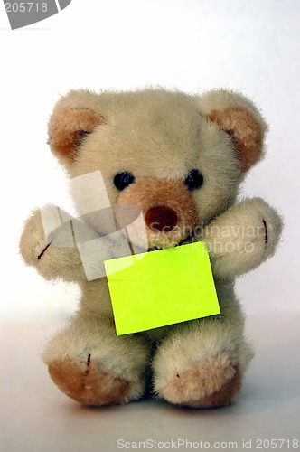 Image of Teddy with a message