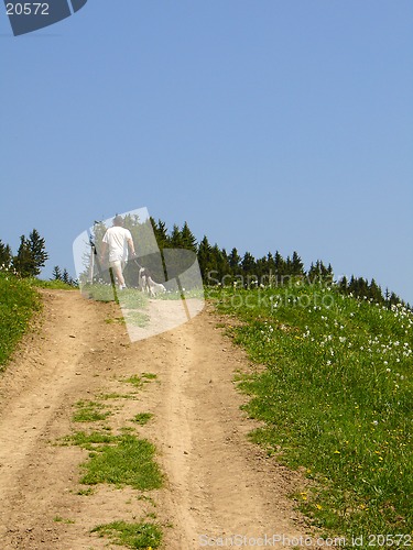 Image of Man with dog in mountains