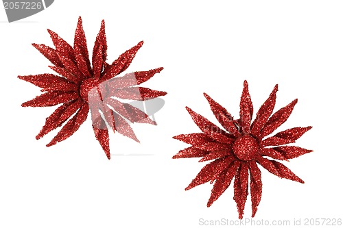 Image of Christmas decoration flower