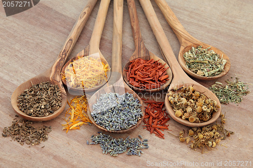 Image of Naturopathic Herbs